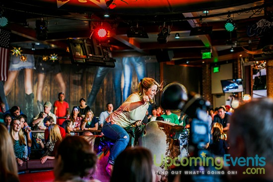 Springfest Live! 2016 (Gallery A)