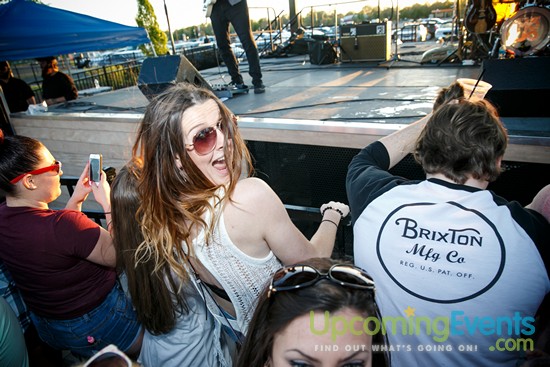 Springfest Live! 2016 (Gallery A)