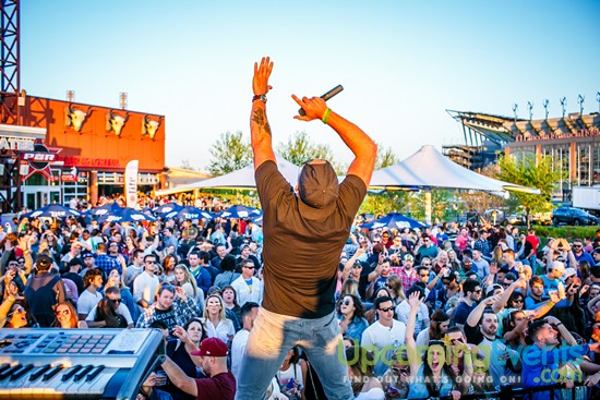 Springfest Live! 2016 (Gallery A)