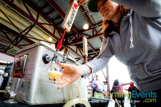 All Star Craft Beer & Wine Festival - Gallery 1