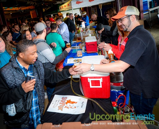 All Star Craft Beer & Wine Festival - Gallery 1