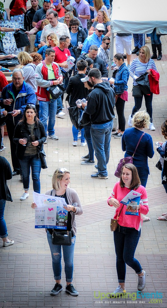 All Star Craft Beer & Wine Festival - Gallery 1