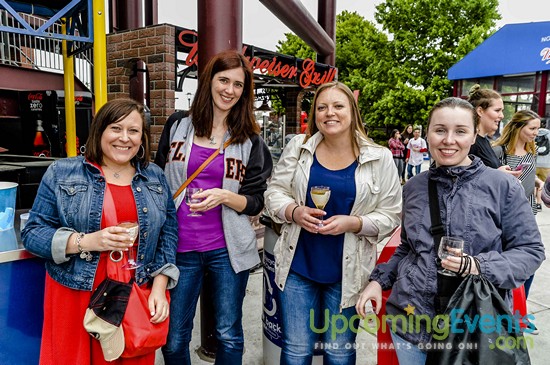 All Star Craft Beer & Wine Festival - Gallery 5