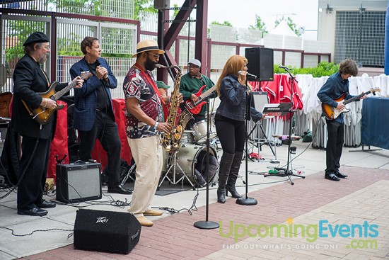 All Star Craft Beer & Wine Festival - Gallery 6
