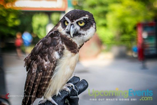 Summer Ale Festival at The Zoo!