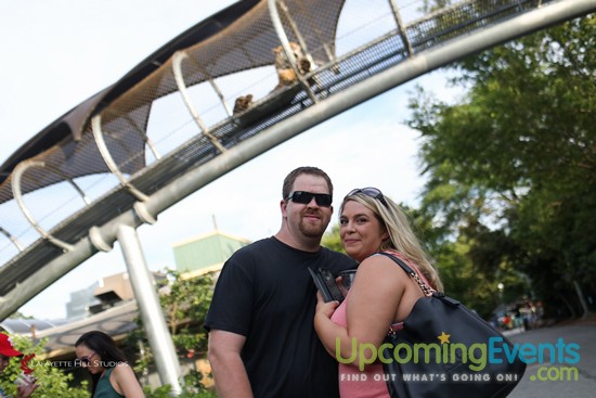 Summer Ale Festival at The Zoo!