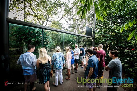 Summer Ale Festival at The Zoo!