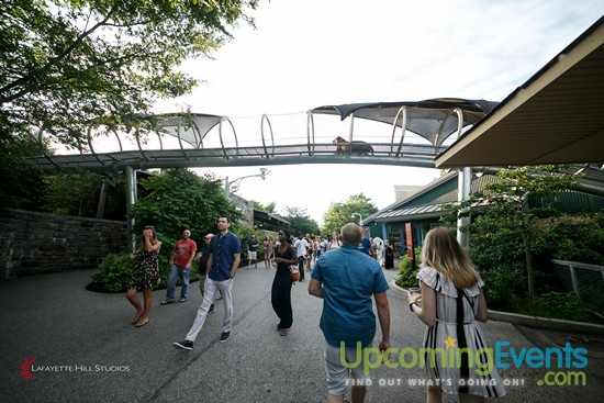 Summer Ale Festival at The Zoo!