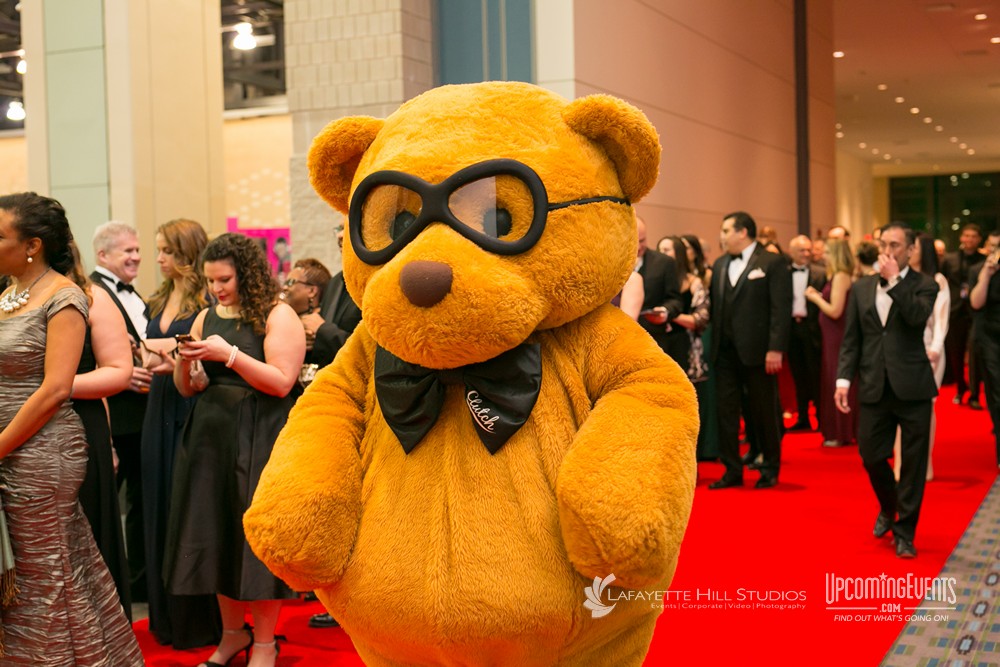 Black Tie Tailgate 2018 (The Red Carpet)