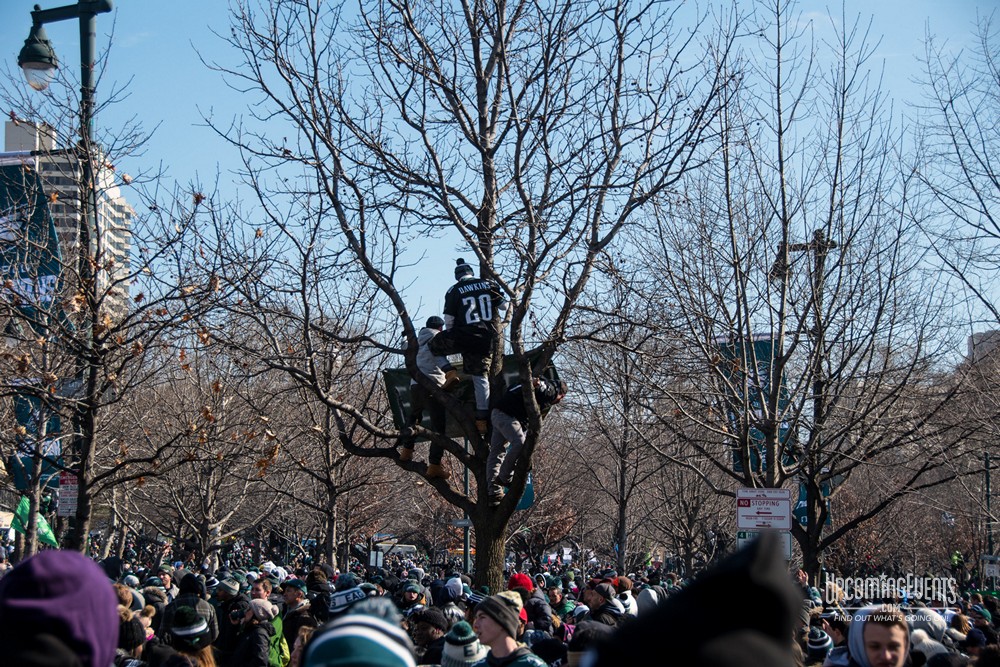 Eagles Parade Photos (Gallery 1)