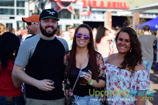 Springfest Live! Craft Beer Fest (Gallery C)