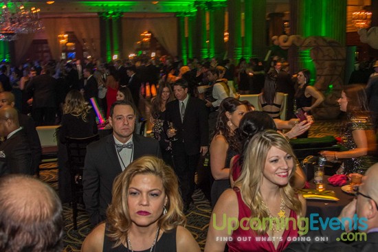 Hair O' The Dog 2016 (Gallery 1)