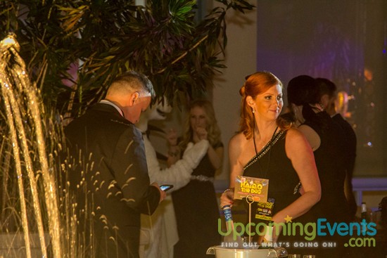 Hair O' The Dog 2016 (Gallery 1)