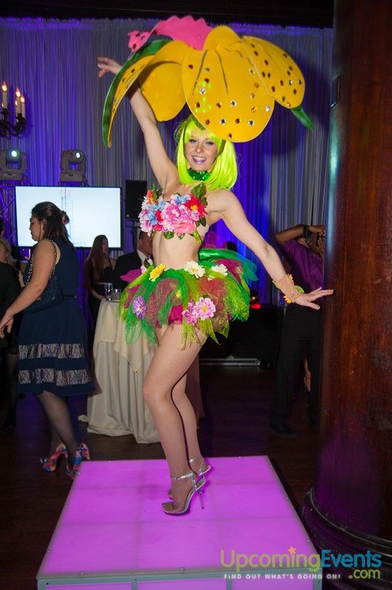 Hair O' The Dog 2016 (Gallery 2)