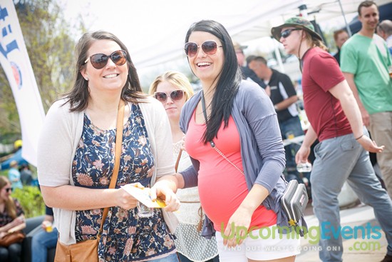 Springfest Live! 2016 (Gallery A)