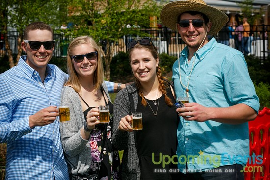 Springfest Live! 2016 (Gallery A)