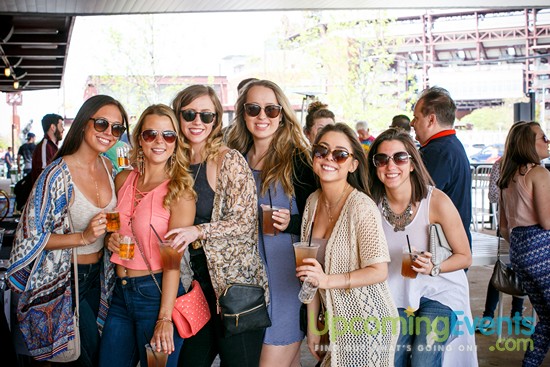 Springfest Live! 2016 (Gallery A)