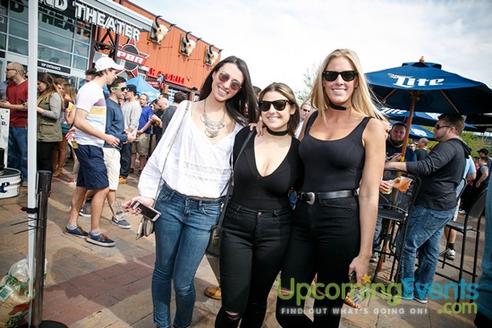 Springfest Live! 2016 (Gallery A)