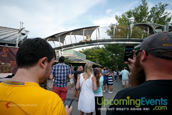 Summer Ale Festival at The Zoo!