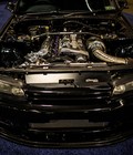 Black Tie Tailgate 2024 (Car Photos)
