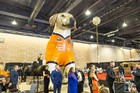 Black Tie Tailgate 2024 (General Event Photos)