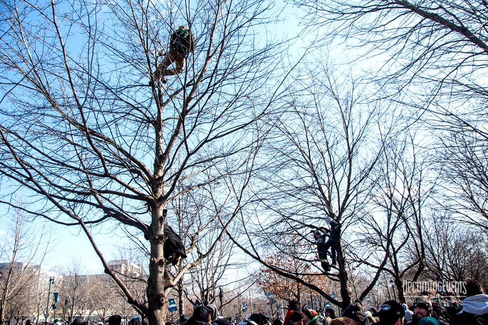 Eagles Parade Photos (Gallery 1)