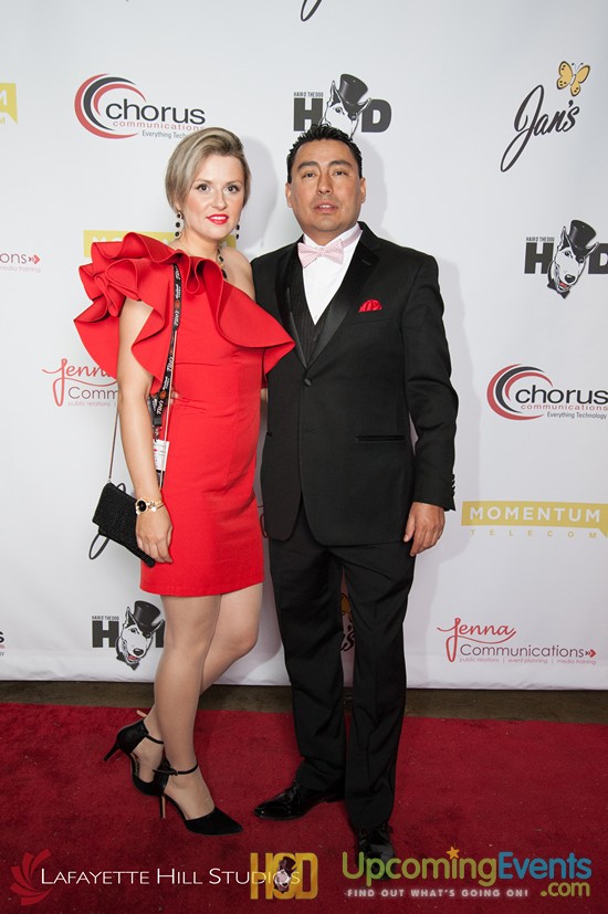 Hair O' The Dog 2017 (Red Carpet)