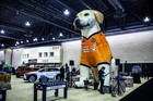 Black Tie Tailgate 2025 (Car Photos)