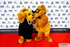 Black Tie Tailgate 2023 (The Red Carpet)