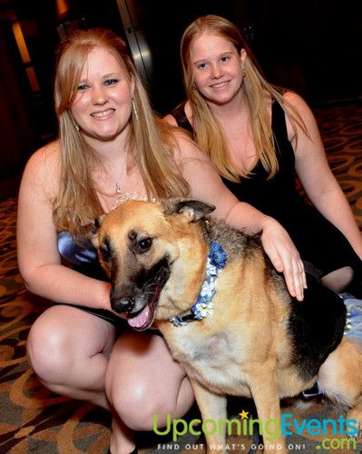 Bad Dog Ball