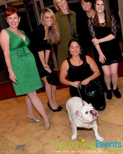 Bad Dog Ball