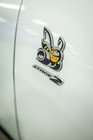 Black Tie Tailgate 2025 (Car Photos)