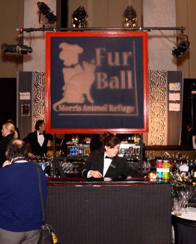 The Fur Ball