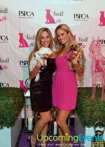 Bad Dog Ball