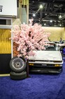Black Tie Tailgate 2025 (Car Photos)