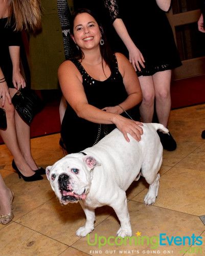 Bad Dog Ball