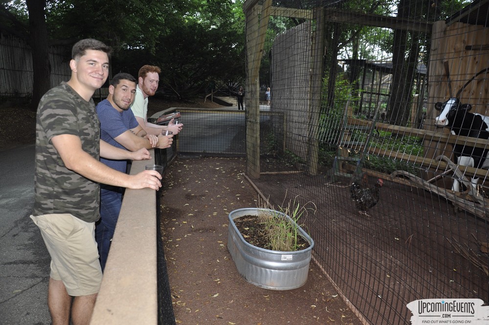 Summer Ale Festival at The Phladelphia Zoo
