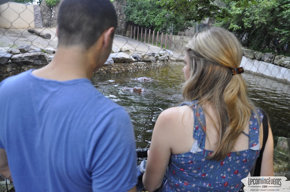 Summer Ale Festival at The Phladelphia Zoo