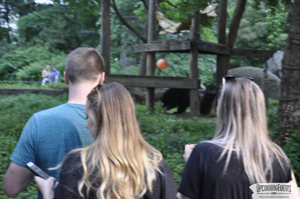 Summer Ale Festival at The Phladelphia Zoo