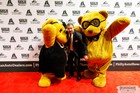 Black Tie Tailgate 2023 (The Red Carpet)