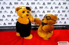 Black Tie Tailgate 2023 (The Red Carpet)
