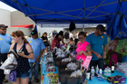 Summerfest Live! Craft Beer & Wine Festival