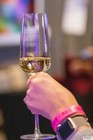 Philly Wine Fest 2022