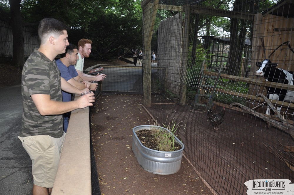 Summer Ale Festival at The Phladelphia Zoo