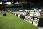 The Arlington All-Star Festival 2022 Gallery 1