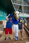 The Arlington All-Star Festival 2022 Gallery 2