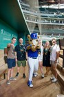 The Arlington All-Star Festival 2022 Gallery 2