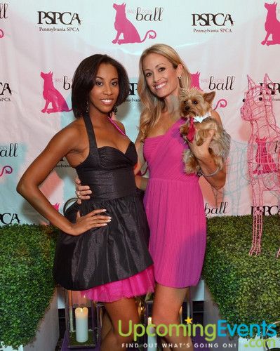Bad Dog Ball