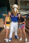 The Arlington All-Star Festival 2022 Gallery 3