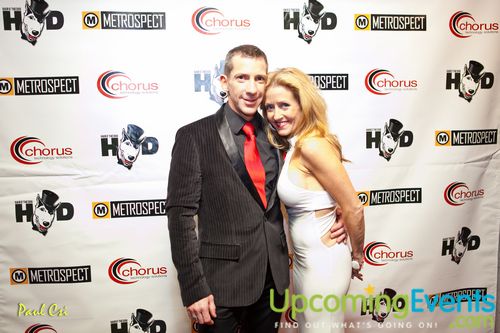 Hair O' The Dog (Gallery B)